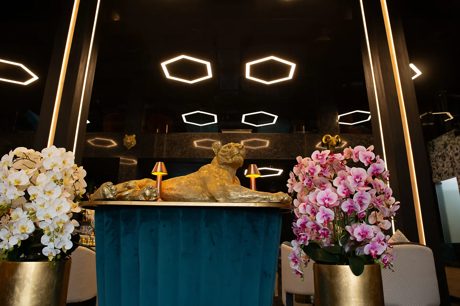 Evening ambience at Dr. Sheesha shisha lounge in Dubai